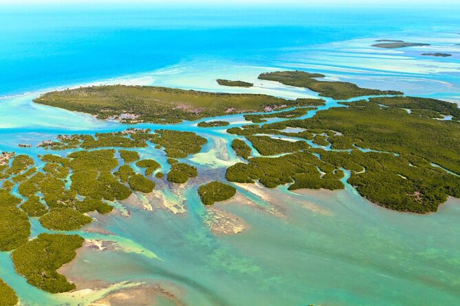 Six Fins Private Dolphin Safari – Dolphin Watching in Key West - Captain-guided plans for your own group