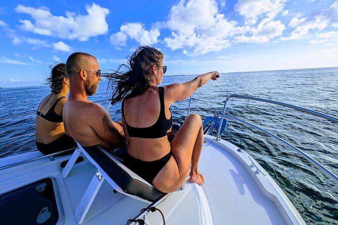 Six Fins Private Dolphin Safari – Dolphin Watching in Key West - Why the private price can make sense