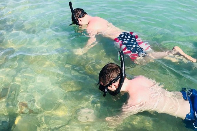 Small Group 2 Hour Dolphin Cruise with Snorkeling to Shell Key - Boca Ciega Bay is your first wildlife search
