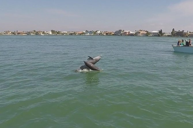 Small Group 2 Hour Dolphin Cruise with Snorkeling to Shell Key - Why two hours can feel tight