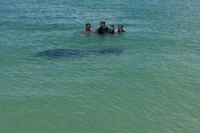 Small Group 2 Hour Dolphin Cruise with Snorkeling to Shell Key - Wildlife is exciting, but never promised