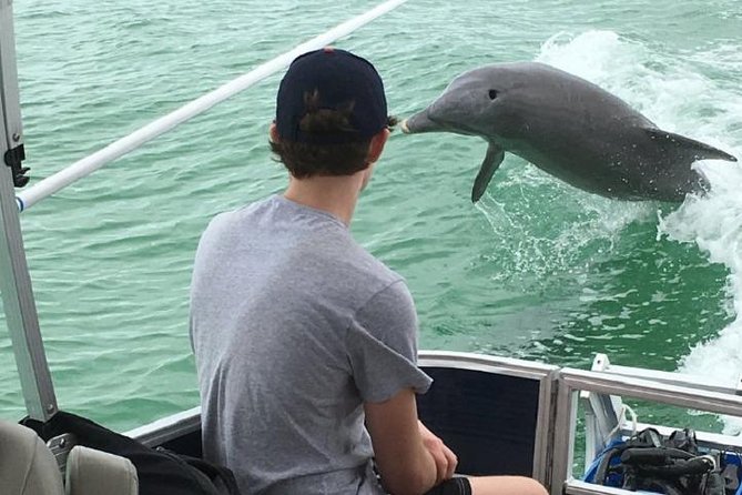 Small Group 2 Hour Dolphin Cruise with Snorkeling to Shell Key - Shell Key offers beach time, shells, and shallow snorkeling