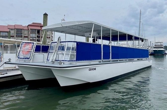 Small Group - 6 Passengers - Morning Dolphin and Donut Cruise - Pinkney Island’s marshes and wildlife
