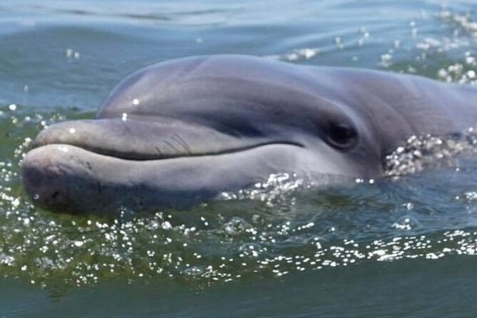 Small Group - 6 Passengers - Morning Dolphin and Donut Cruise - A famous golf course viewed from the water