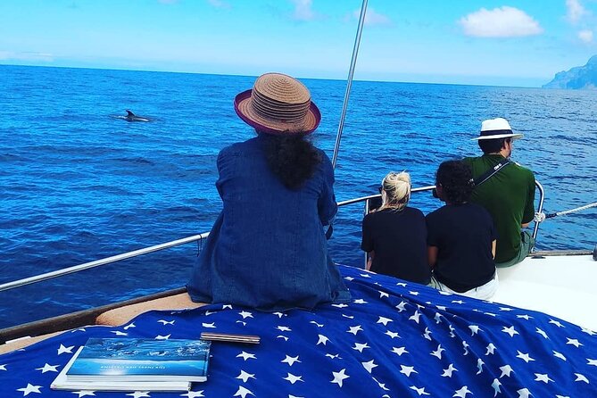 Small Group Boat Whale and Dolphin Watching Tour - Las Salinas beach brings a change of pace