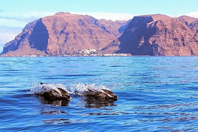 Small Group Boat Whale and Dolphin Watching Tour - Is $58.05 a fair price?