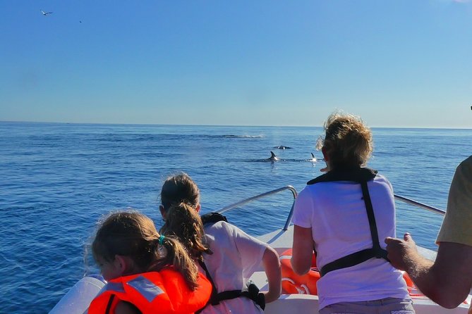 Small Group Dolphin and Wildlife Watching Tour in Faro - What the RIB ride feels like