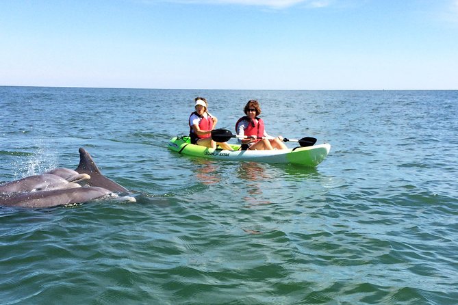 Small Group Dolphin Kayak Eco-Tour - Key points to know before you paddle
