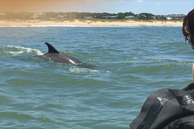 Small Group Dolphin Kayak Eco-Tour - Is $68 a fair price?
