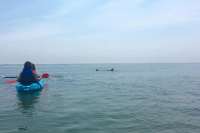 Small Group Dolphin Kayak Eco-Tour - Who will enjoy this Virginia Beach outing?
