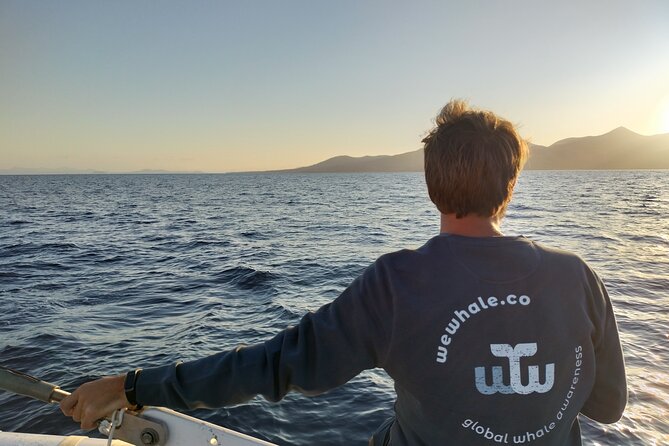 Small Group Dolphin Sunset Tour on Electric Catamaran Lanzarote - A quiet start from Puerto Calero