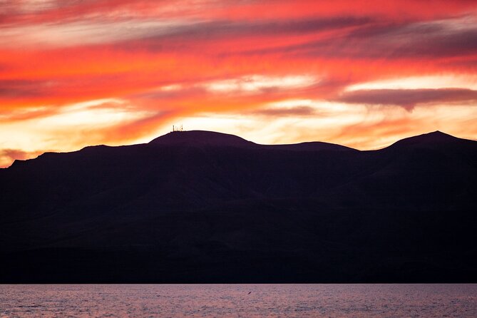 Small Group Dolphin Sunset Tour on Electric Catamaran Lanzarote - Drinks, snacks, and the cold evening air