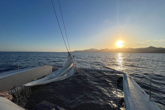 Small Group Dolphin Sunset Tour on Electric Catamaran Lanzarote - What the $90.70 price really buys