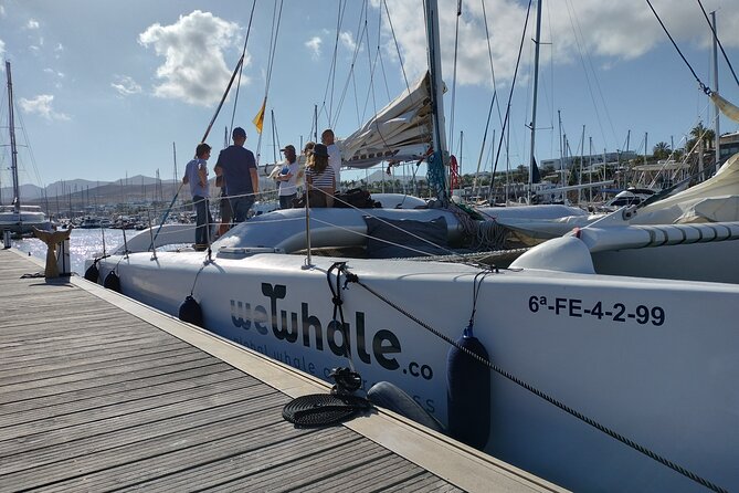 Small Group Dolphin Sunset Tour on Electric Catamaran Lanzarote - Families, couples, and solo visitors