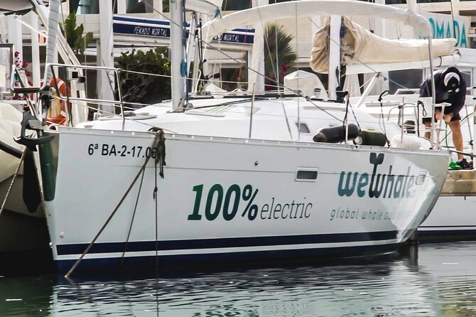 Small Group Dolphin Sunset Tour on Electric Sailing Boat Denia - What the electric sailing boat changes