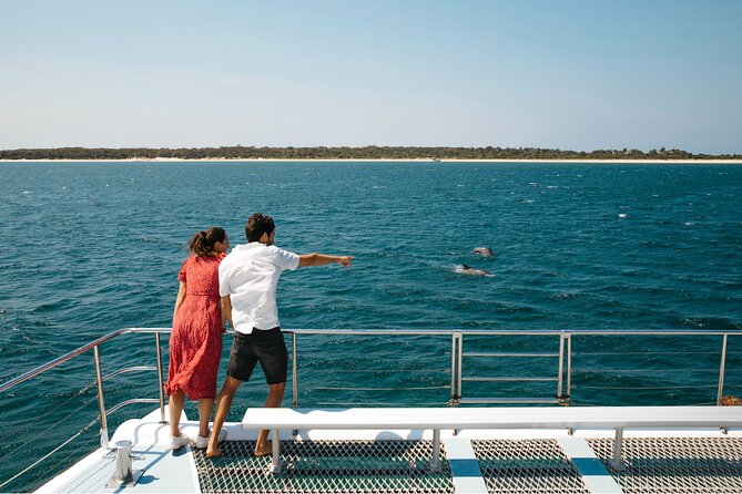 Small Group Port Stephens + Dolphins + 4WD/sandboarding ex Sydney - Key points to know before booking
