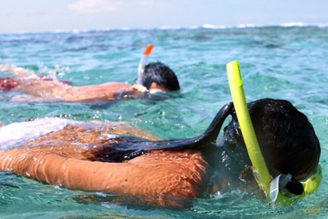 Snorkel & Dolphin Sightseeing Tour Aboard the Footloose - Dolphin watching in the Gulf
