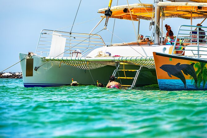 Snorkel & Dolphin Sightseeing Tour Aboard the Footloose - Is $50 a good value?