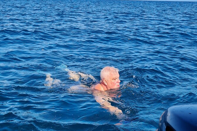 Snorkel with Dolphins, Lunch on Benitiers island, Speedboat - What the speedboat adds