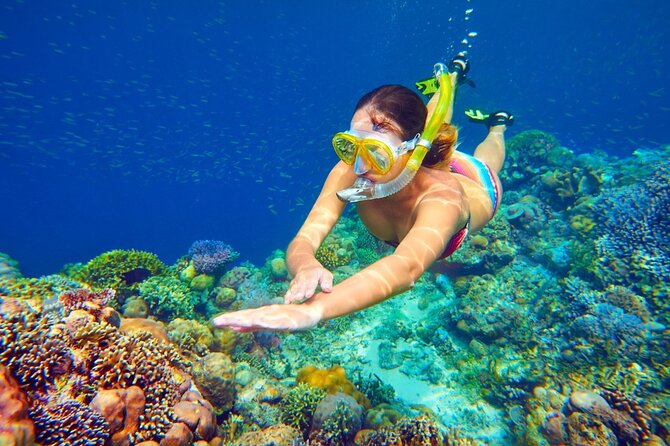 Snorkeling Adventure at Dolphin House Reef & Transfers-Marsa Alam - Reaching Dolphin House from Marsa Alam