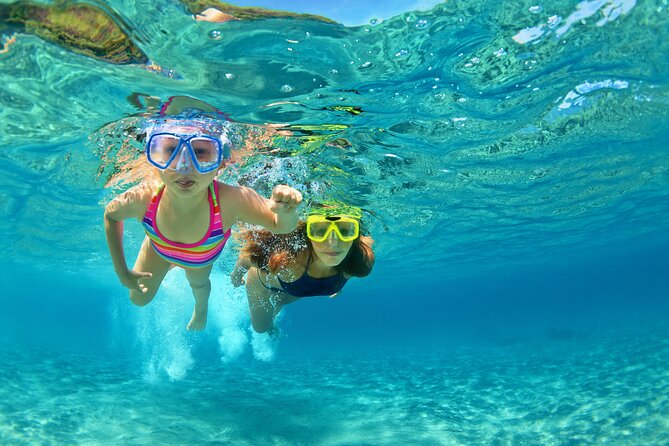 Snorkeling and Dolphin Watching Experience in Destin - Key points to know before you book