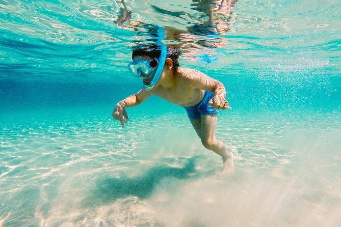 Snorkeling and Dolphin Watching Experience in Destin - A three-hour outing built around variety