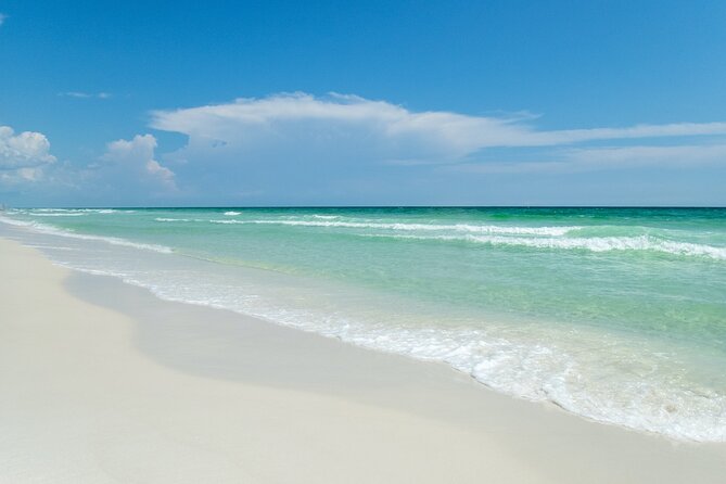 Snorkeling and Dolphin Watching Experience in Destin - Is $44 a good value?