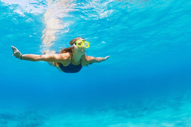 Snorkeling and Dolphin Watching Experience in Destin - Who will enjoy this trip most?