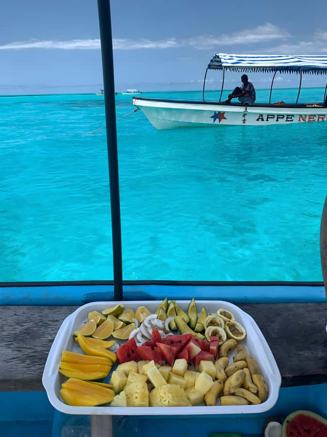Snorkeling and swimming with dolphins in mnemba island - Should you book Mnemba Island snorkeling?