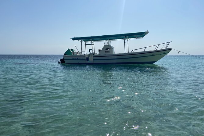 Snorkeling at Dimaniyat Islands and Dolphin Watching - Snacks, drinks, and comfort aboard