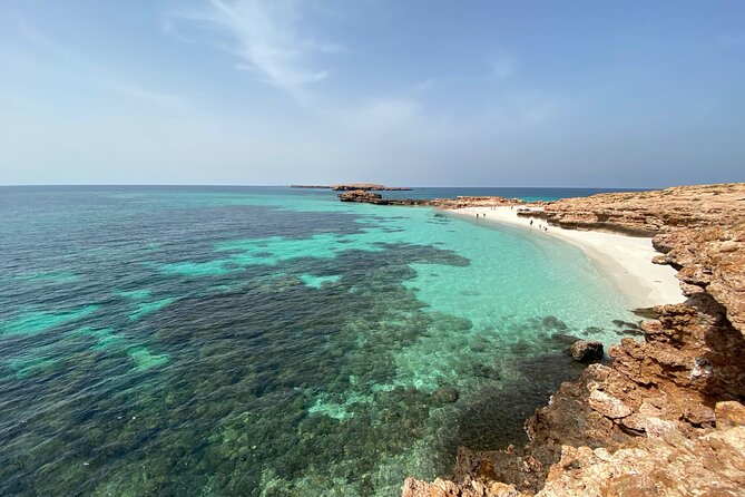 Snorkeling at Dimaniyat Islands and Dolphin Watching - Passing Al Alam Palace on the coast