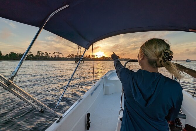 Snorkeling, Dolphin and Wildlife Sightings at St. Andrews Bay - Stop three: Panama City Beach and wildlife watching