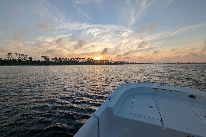 Snorkeling, Dolphin and Wildlife Sightings at St. Andrews Bay - Timing, comfort, and what to bring
