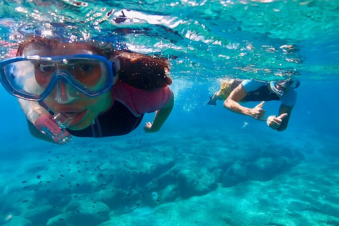 Snorkeling Experience to discover the dolphin inside you! - What the 2.5-hour Cala Gonone outing feels like