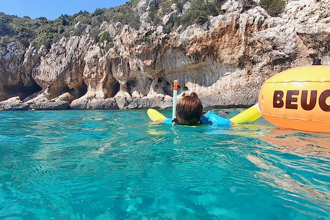 Snorkeling Experience to discover the dolphin inside you! - Meeting Cinzia and choosing the right pace