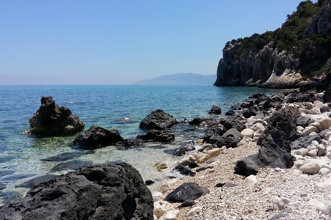 Snorkeling Experience to discover the dolphin inside you! - Practical advice before you book