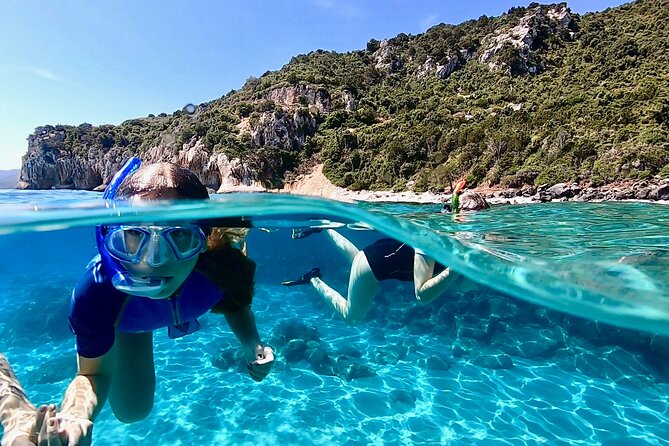 Snorkeling Experience to discover the dolphin inside you! - Why the small group of eight matters