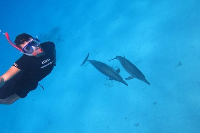 Snorkeling with Dolphins & Lunch In Sataya Reefs From Marsa Alam - What happens on the boat