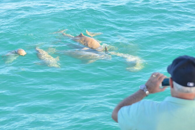 Snubfin Dolphin Eco Cruise from Broome - Is the price good value?