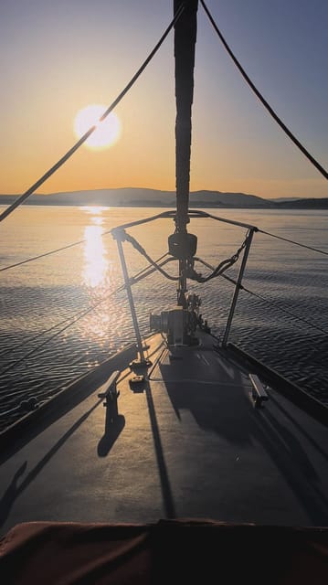Sotogrande: Dolphin Watching Boat Trip with Drink - Practical details that affect your decision