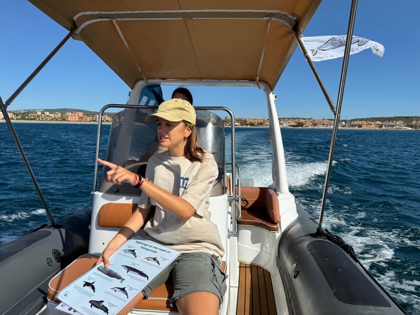 Sotogrande: Dolphin watching experience with expert crew - Key points to know before booking