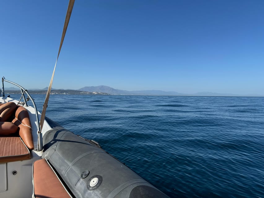 Sotogrande: Dolphin watching experience with expert crew - Booking details that matter