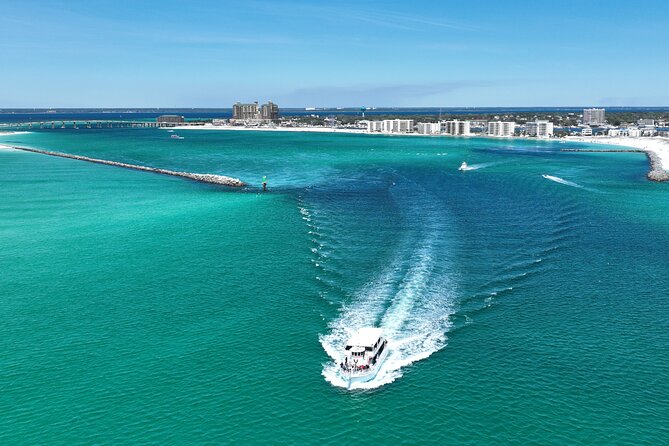 Southern Star Dolphin Cruise in Destin - Who will enjoy this cruise most?