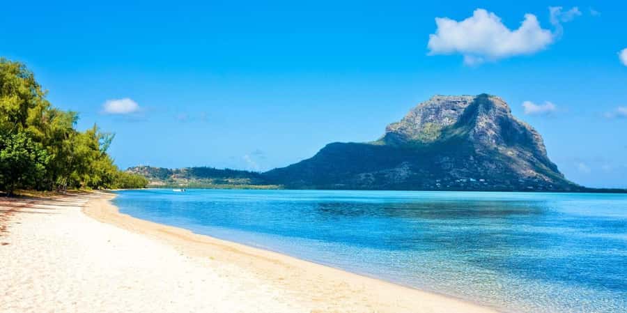 Speedboat to Ile aux Benitier: Dolphin Encounter & Lunch - Key points to know before booking