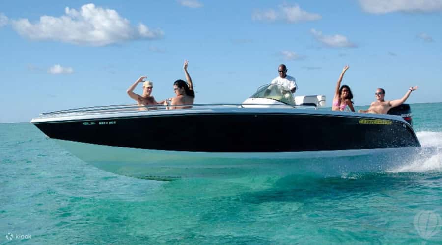 Speedboat to Ile aux Benitier: Dolphin Encounter & Lunch - A responsible approach matters here