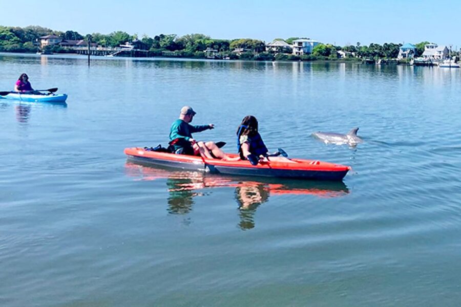 St. Augustine: Dolphin and Manatee Paddle or Kayak Tour - A quiet wildlife route near St. Augustine