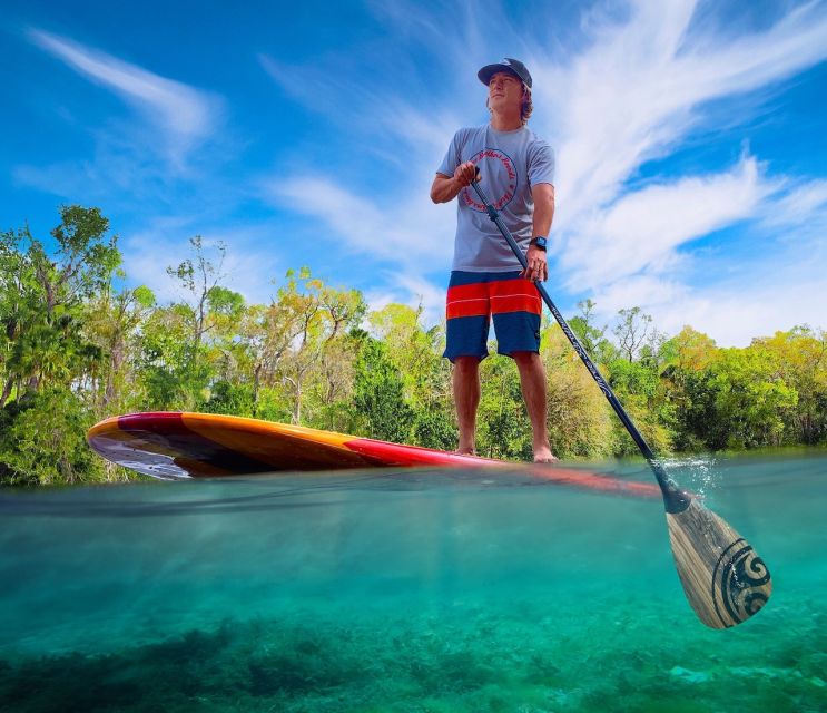 St. Augustine: Dolphin and Manatee Paddle or Kayak Tour - Searching for dolphins in the salt basin