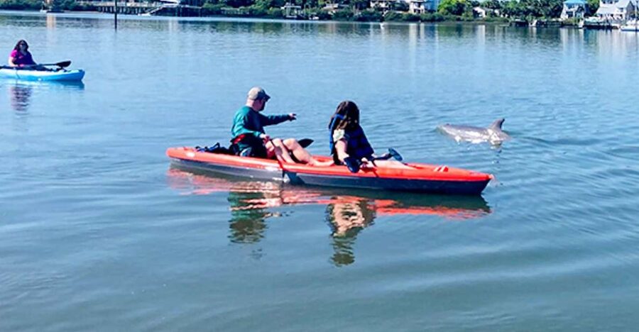 St. Augustine: Dolphin and Manatee Paddle or Kayak Tour - What the first 20 minutes feel like