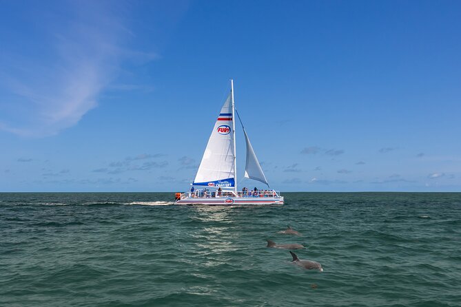 St. Augustine Dolphin Watch and Historical Harbor Tour - A Relaxed Catamaran With Room to Move