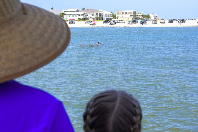 St. Augustine Dolphin Watch and Historical Harbor Tour - Beer, Wine, Soda, and Simple Snacks